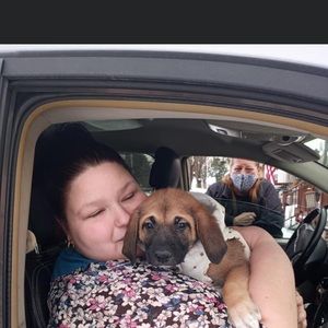 Meet your Posher, Jamie